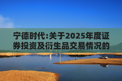 宁德时代:关于2025年度证券投资及衍生品交易情况的专项说明