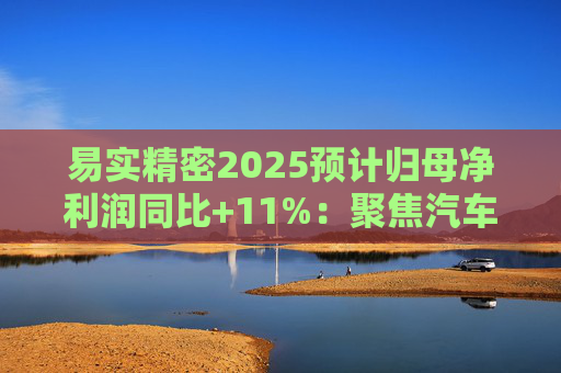 易实精密2025预计归母净利润同比+11%：聚焦汽车精密金属零部件研发销售，设立+增资子公司推进海外布局