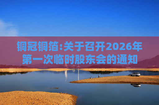 铜冠铜箔:关于召开2026年第一次临时股东会的通知