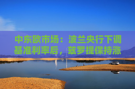 中东欧市场：波兰央行下调基准利率后，兹罗提保持涨势