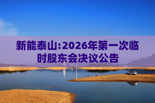 新能泰山:2026年第一次临时股东会决议公告