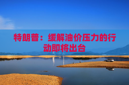 特朗普：缓解油价压力的行动即将出台