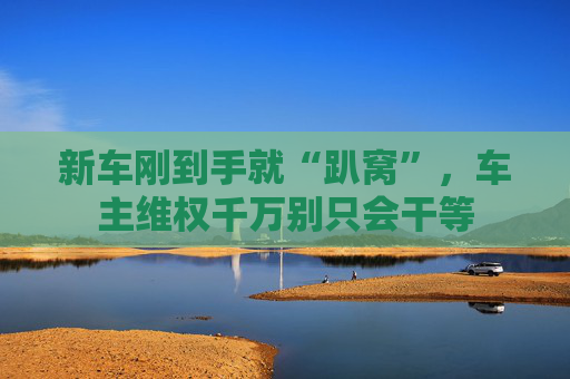 新车刚到手就“趴窝”，车主维权千万别只会干等