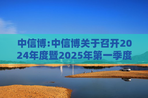 中信博:中信博关于召开2024年度暨2025年第一季度业绩说明会的公告  第1张