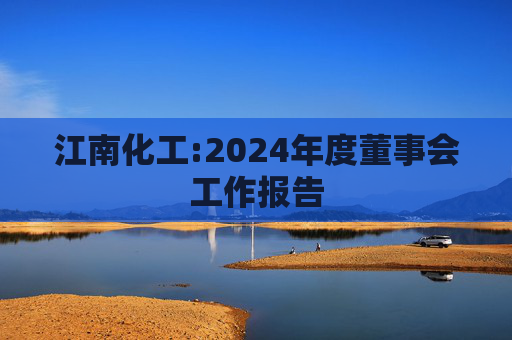江南化工:2024年度董事会工作报告