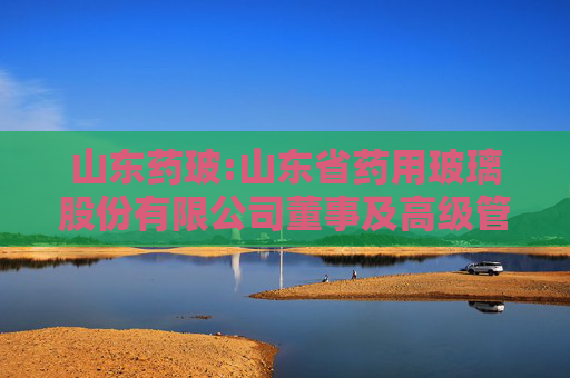 山东药玻:山东省药用玻璃股份有限公司董事及高级管理人员薪酬管理制度