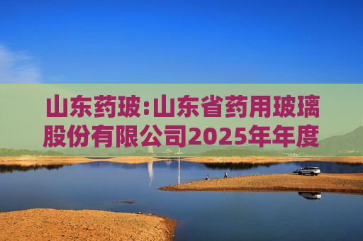 山东药玻:山东省药用玻璃股份有限公司2025年年度报告