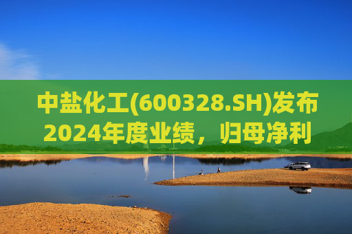 中盐化工(600328.SH)发布2024年度业绩,归母净利润5.19亿元,同比下降56.32% 第1张 中盐化工(600328.SH)发布2024年度业绩,归母净利润5.19亿元,同比下降56.32% 第1张