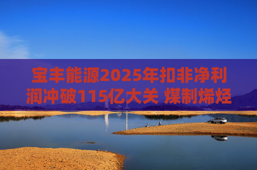宝丰能源2025年扣非净利润冲破115亿大关 煤制烯烃龙头迎高光时刻