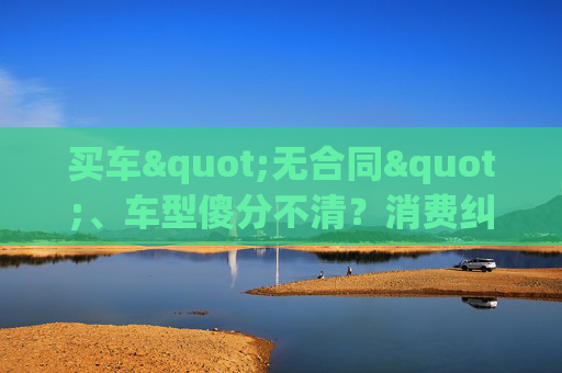 买车"无合同"、车型傻分不清？消费纠纷这样维权更有效  第1张