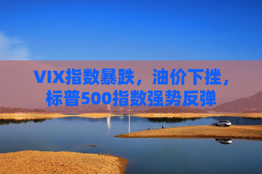 VIX指数暴跌，油价下挫，标普500指数强势反弹  第1张