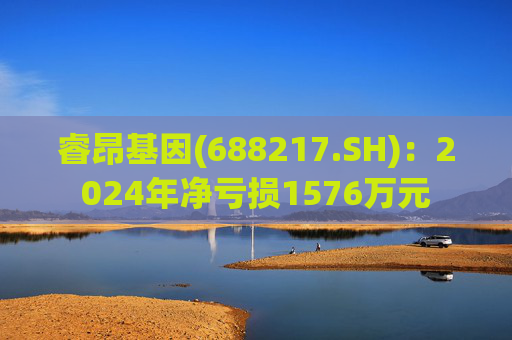 睿昂基因(688217.SH)：2024年净亏损1576万元  第1张