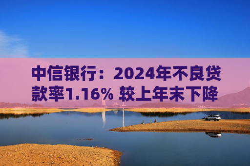 中信银行：2024年不良贷款率1.16% 较上年末下降0.02个百分点  第1张