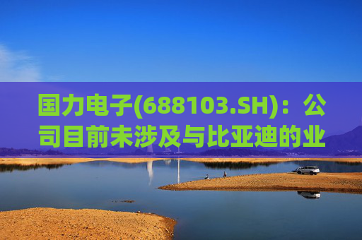 国力电子(688103.SH)：公司目前未涉及与比亚迪的业务合作  第1张