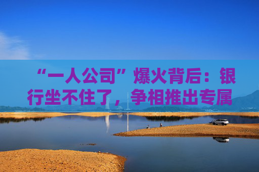 “一人公司”爆火背后：银行坐不住了，争相推出专属金融方案