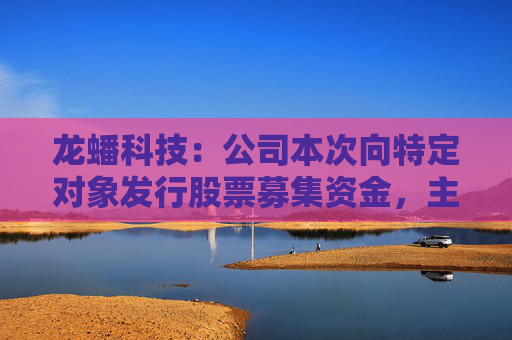 龙蟠科技：公司本次向特定对象发行股票募集资金，主要用于高性能磷酸盐型正极材料项目建设及补充流动资金