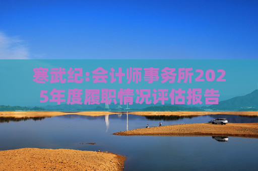 寒武纪:会计师事务所2025年度履职情况评估报告