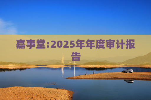 嘉事堂:2025年年度审计报告