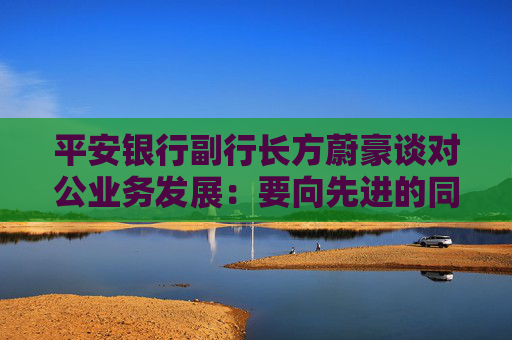 平安银行副行长方蔚豪谈对公业务发展：要向先进的同行多去学习，同时要大快步赶上