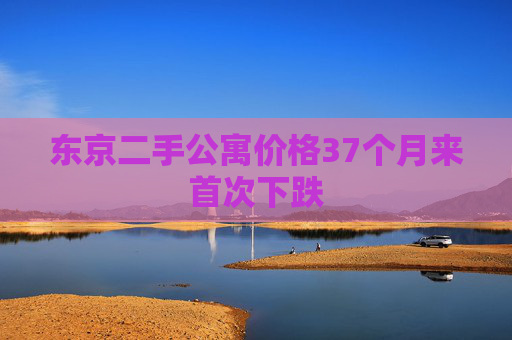 东京二手公寓价格37个月来首次下跌