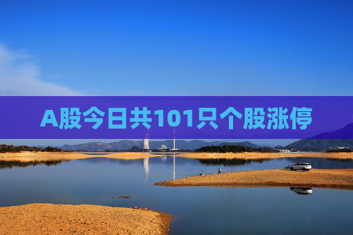 A股今日共101只个股涨停