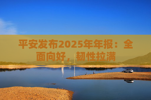 平安发布2025年年报：全面向好，韧性拉满