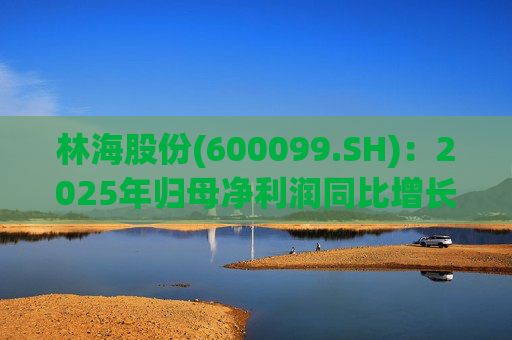 林海股份(600099.SH)：2025年归母净利润同比增长33.24%，每股拟派利0.045元