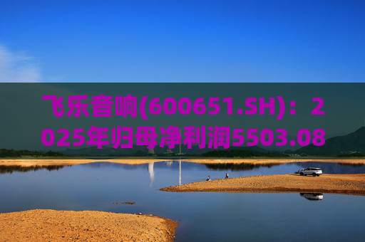飞乐音响(600651.SH)：2025年归母净利润5503.08万元，同比增长39.41%  第1张
