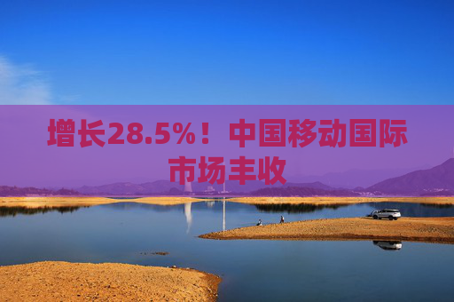 增长28.5%！中国移动国际市场丰收