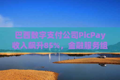 巴西数字支付公司PicPay收入飙升85%,金融服务组合持续扩大 第1张 巴西数字支付公司PicPay收入飙升85%,金融服务组合持续扩大 第1张