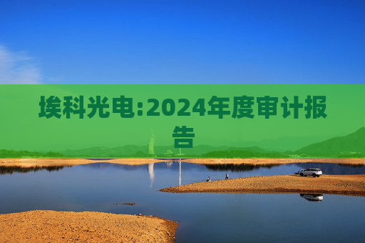 埃科光电:2024年度审计报告  第1张