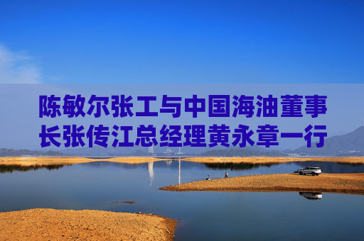 陈敏尔张工与中国海油董事长张传江总经理黄永章一行座谈