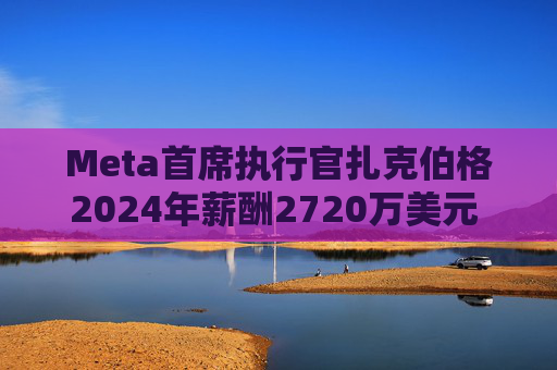 Meta首席执行官扎克伯格2024年薪酬2720万美元 高于上年的2440万美元