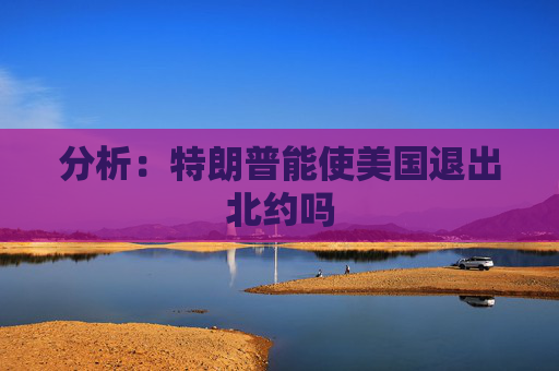 分析：特朗普能使美国退出北约吗