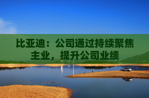 比亚迪：公司通过持续聚焦主业，提升公司业绩