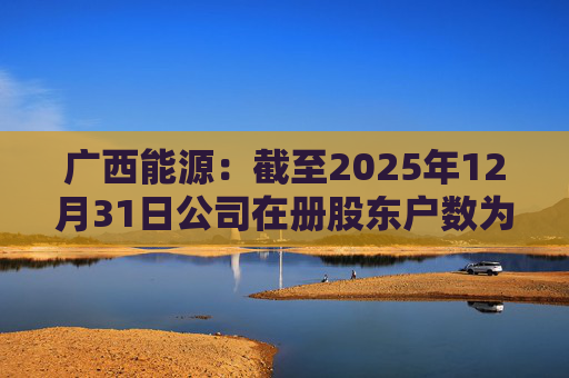 广西能源：截至2025年12月31日公司在册股东户数为53413户