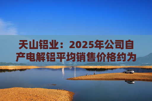 天山铝业：2025年公司自产电解铝平均销售价格约为20600元/吨