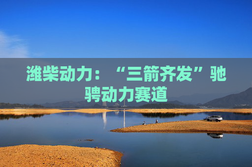 潍柴动力：“三箭齐发”驰骋动力赛道