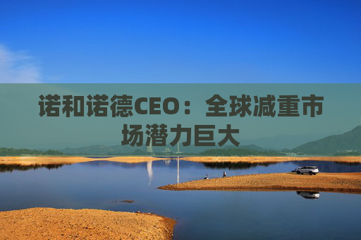 诺和诺德CEO：全球减重市场潜力巨大