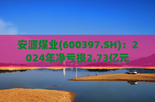 安源煤业(600397.SH)：2024年净亏损2.73亿元  第1张