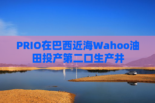 PRIO在巴西近海Wahoo油田投产第二口生产井
