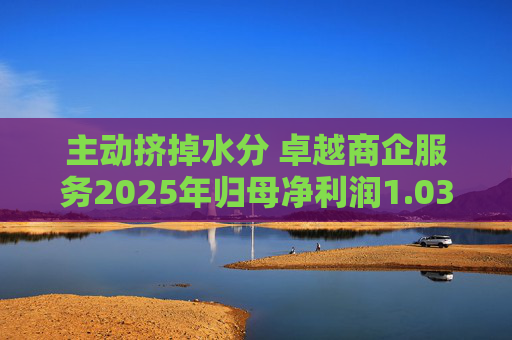 主动挤掉水分 卓越商企服务2025年归母净利润1.03亿元