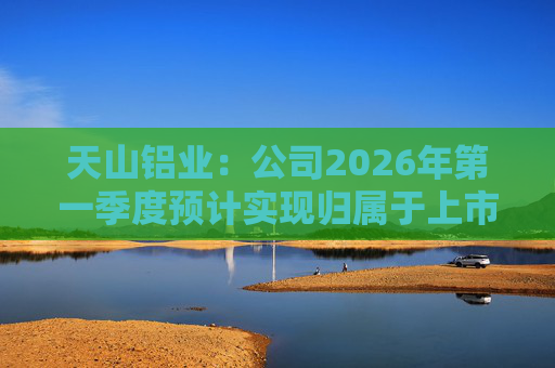 天山铝业：公司2026年第一季度预计实现归属于上市公司股东的净利润220000万元