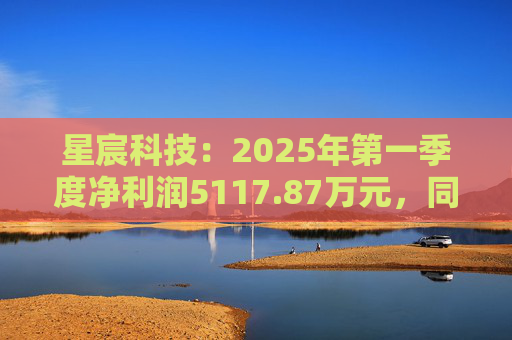 星宸科技：2025年第一季度净利润5117.87万元，同比增长0.48%  第1张