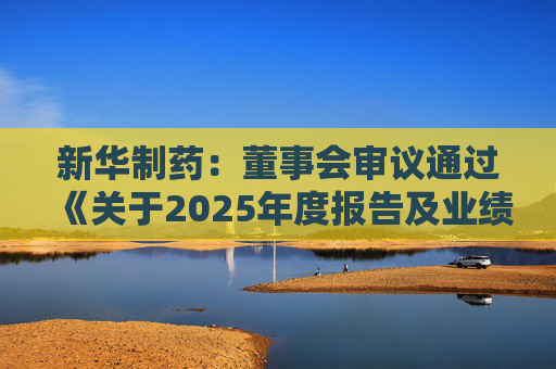 新华制药：董事会审议通过《关于2025年度报告及业绩公告的议案》等多项议案