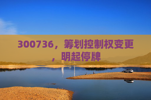 300736，筹划控制权变更，明起停牌