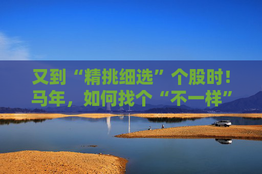 又到“精挑细选”个股时!马年,如何找个“不一样”的基金管理人替你出赛?