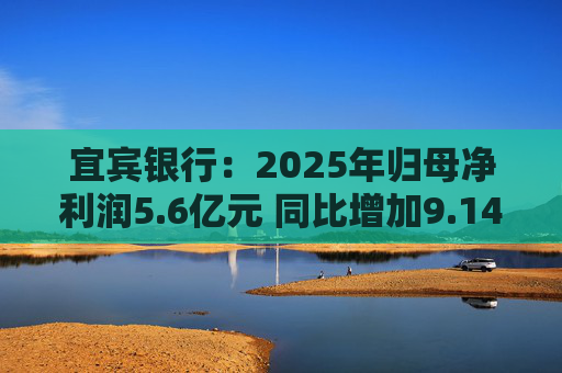 宜宾银行：2025年归母净利润5.6亿元 同比增加9.14%