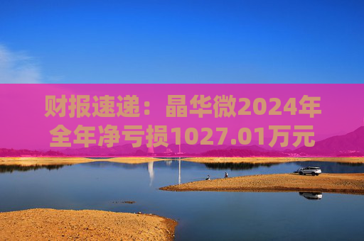 财报速递:晶华微2024年全年净亏损1027.01万元 第1张 财报速递:晶华微2024年全年净亏损1027.01万元 第1张