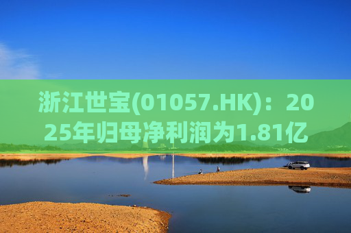 浙江世宝(01057.HK)：2025年归母净利润为1.81亿元 同比增加21.05%  第1张